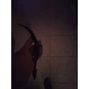 Professional Outdoor Sport Waterproof Bluetooth smartwatch, Best waterproof smartwatches of 2022, Waterproof Smartwatch, waterproof watch, Waterproof Smart Watch, Waterproof Bluetooth Smart Watch, Smartwatches, Best waterproof smartwatch, Smart Watches, The Best Waterproof Fitness Trackers, Bluetooth Call Waterproof Smart Watch