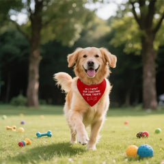 1pc 24.8×11 INCH All I Desire for Christmas Is Additional Treats Red Dog Bandana, Christmas Birthday Gift for Dog Lover Parents, Puppy Scarf Photo Accessory for Party Dinner Reusable Bib Wipes