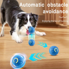 Electric smart pet, a good partner for dogs, resistant to falling and biting