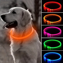 Stay Safe at Night with a USB Charge Glowing Collar - Adjustable and Bright for Maximum Visibility