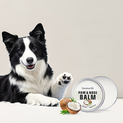 OIVOLII Nourishing Paw Cream for Dogs - Fast-Acting, Long-Lasting Protection, Prevents Cracked Paws & Nose, Safe for Sensitive Light Beige, Easy Application, Ideal for Running, Walking, Hot/Cold Weather - Pet Paw Care Essential, Paw Cream for Dogs, Easy A