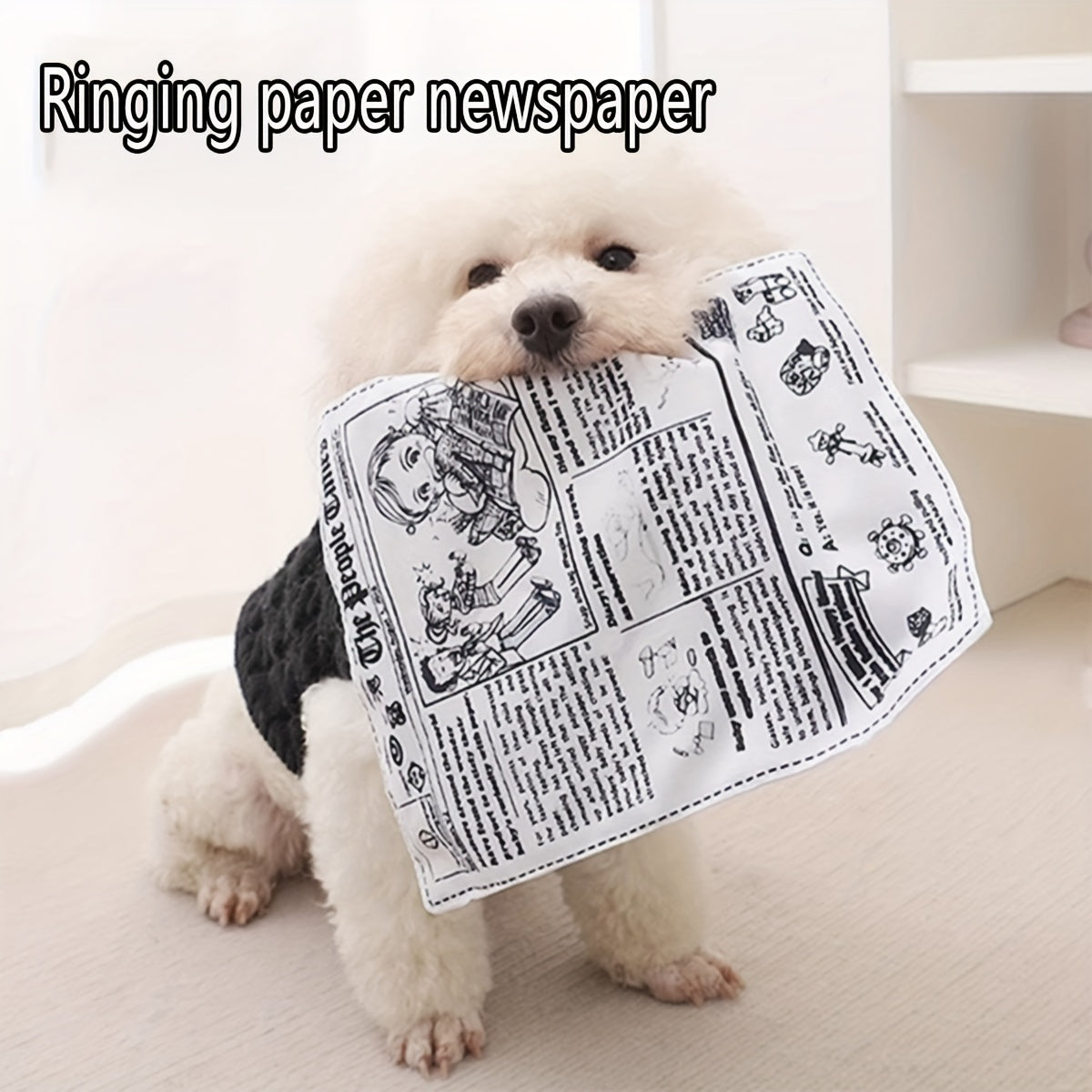 Interactive Squeaky Dog Toy, Plush Material with Alphabet Print Pattern, Medium Breed Suitable, No Battery Needed - Durable Boredom Buster for Pets