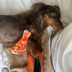 Realistic Chicken Leg Dog Chew Toy for Small & Medium Breeds - Durable Plush Teeth Cleaning Toy with Chew Marks, Interactive Dental Health & Fun Chewable Toy for Puppies, Playful Pet Accessory, Dog Toy