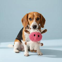 Pet Plush Toy, Dental Cleaning, Interactive Entertainment, Pomeranian Teddy Pet Toy, Cartoon Doll Self-Entertainment Chewing Dog Toy, Plush Sound Toy, Suitable for Dogs and Cats, Without Battery