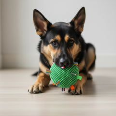 Heavy-Duty Chew-Resistant Dog Ball with Bell - Interactive Tug-of-War, Non-Toxic Soft Training Ball for Aggressive Chewers, All Breeds & Sizes, Indoor/Outdoor Fetch, Durable Polyester Puppy teething toy for Mental Stimulation & Exercise, Playful Design, S