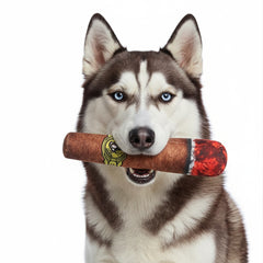 1 Cigar-Shaped Plush Dog Toy with Squeaker - Durable Chew Toys for Teething, Interactive Pet Playtime Suitable for Medium Breeds